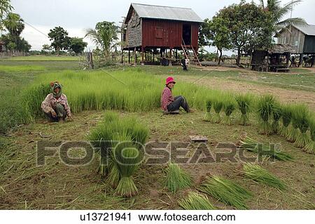 Stock Image - uprooting, people, cambodia, person, house, background. Fotosearch