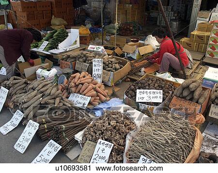 vegetables, people, root, korea, person, food View Large Photo Image Stock Image - vegetables, people, root, korea, person, food. Fotosearch