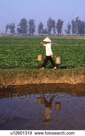 Stock Photo - vietnam, people, carry, 5474, person, water. Fotosearch