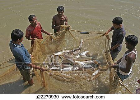 Stock Image - water, person, people, food, business. Fotosearch