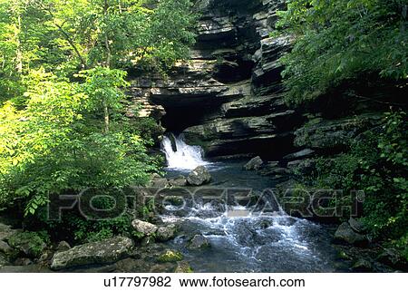 water, springs, rushing, creek, arkansas, blanchard View Large Photo Image Stock Image - water, springs, rushing, creek, arkansas, blanchard. Fotosearch