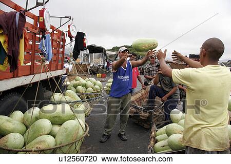 wholesale, people, venezuela, person, fruit, food View Large Photo Image Stock Image - wholesale, people, venezuela, person, fruit, food. Fotosearch