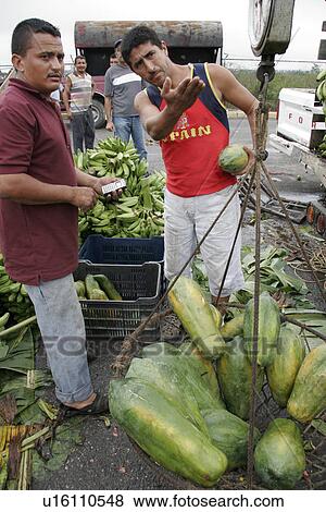 wholesale, people, venezuela, person, fruit, food View Large Photo Image Stock Photo - wholesale, people, venezuela, person, fruit, food. Fotosearch