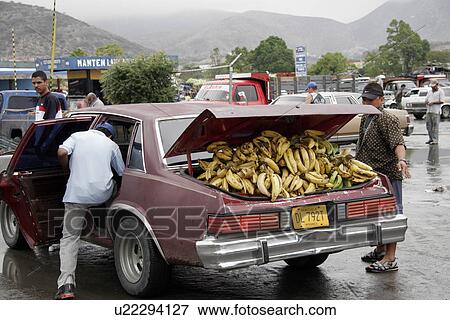 wholesale, people, venezuela, person, fruit, food View Large Photo Image Stock Photo - wholesale, people, venezuela, person, fruit, food. Fotosearch