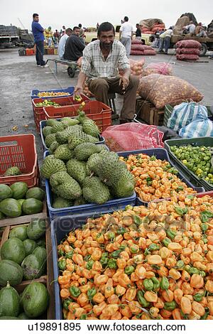 Stock Photography - wholesale, people, venezuela, person, fruit, food. Fotosearch
