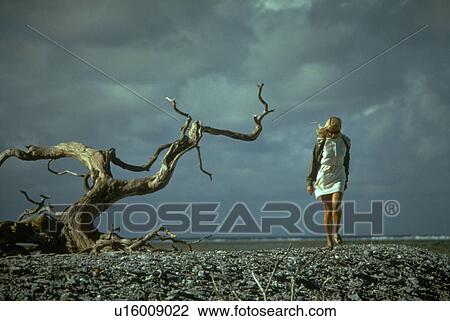 woman, lives, hermit, female, young View Large Photo Image Stock Image - woman, lives, hermit, female, young. Fotosearch