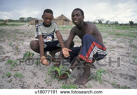 25, person, sikunga, mulondiwa, zambia, people View Large Photo Image Stock Image - 25, person, sikunga, mulondiwa, zambia, people. Fotosearch
