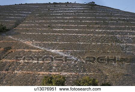 antierosion, person, mexico, 5592, beauty, people View Large Photo Image Stock Image - antierosion, person, mexico, 5592, beauty, people. Fotosearch