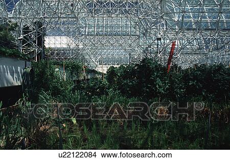 Picture - arizona, structure, Biosphere, inside, biosphere. Fotosearch