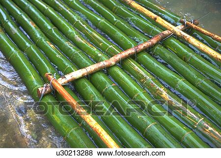 bamboo, jamaica, seater, two, done, rafting View Large Photo Image Stock Photo - bamboo, jamaica, seater, two, done, rafting. Fotosearch