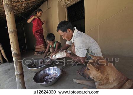 Stock Image - bangladesh, food, fish, person, people, dog. Fotosearch