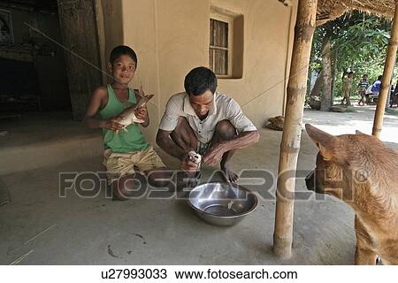 Stock Image - bangladesh, food, fish, person, people, dog. Fotosearch