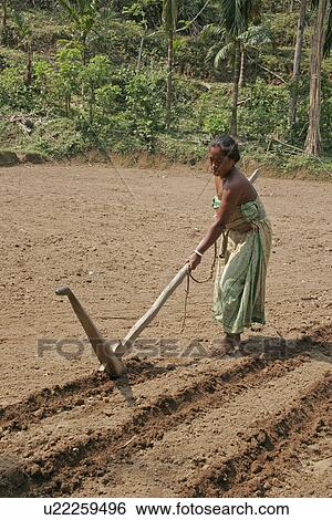 Stock Photograph - bangladesh, food, women, person, people, woman. Fotosearch