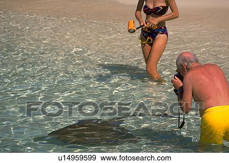 beach, nature, people, water, woman View Large Photo Image Stock Photo - beach, nature, people, water, woman. Fotosearch