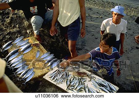 Stock Photograph - beach, sells, female, fish, woman. Fotosearch