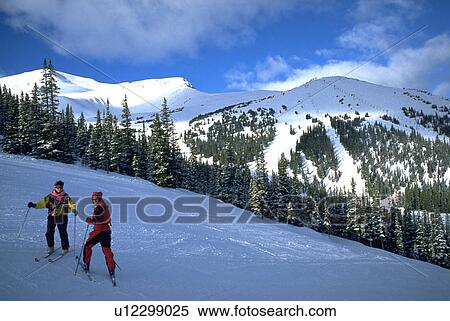 beauty, top, skiing, skier, winter View Large Photo Image Stock Photography - beauty, top, skiing, skier, winter. Fotosearch