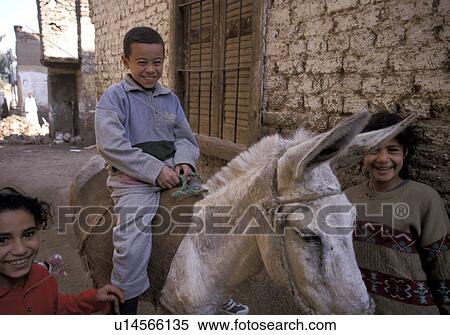 boy, fitness, egypt, 5730, person, people View Large Photo Image Stock Photography - boy, fitness, egypt, 5730, person, people. Fotosearch