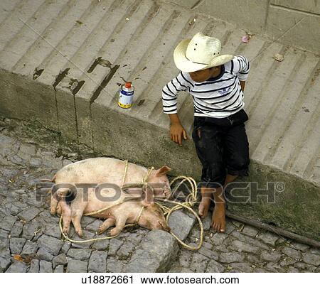 boy, person, hispanic, mexico, 4092, people View Large Photo Image Stock Image - boy, person, hispanic, mexico, 4092, people. Fotosearch
