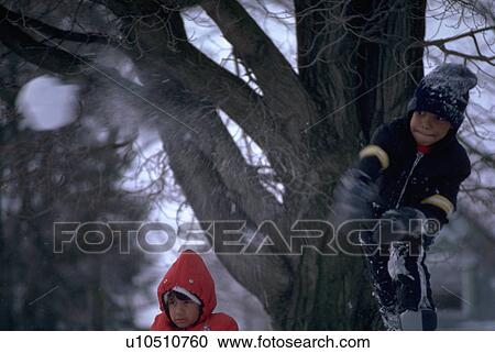 Stock Image - boys, people, two, children, winter, tree. Fotosearch