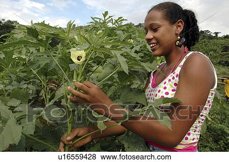 Stock Photo - brazil, girl, kid, person, child, people. Fotosearch