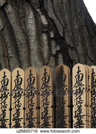 Stock Photograph - buddhist, person, graveyard, detail, japan, people. Fotosearch