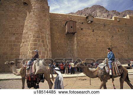Stock Photography - camels, person, tourists, egypt, 3721, people. Fotosearch