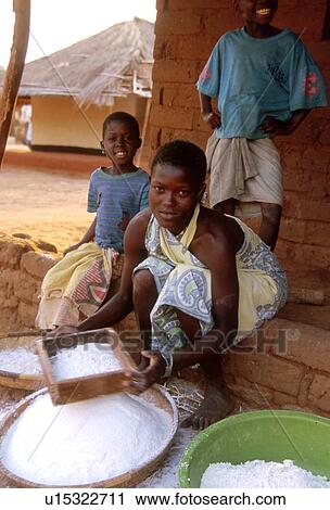 Stock Image - cassava, people, preparing, 3036, person, food. Fotosearch