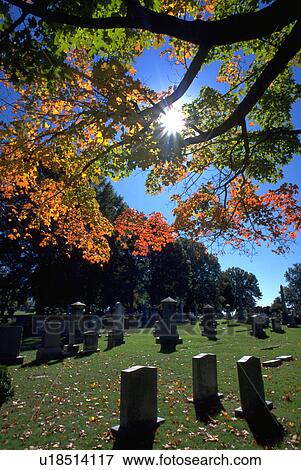 Stock Photo - cemetery, gravestones, graveyard, richmond, tree. Fotosearch