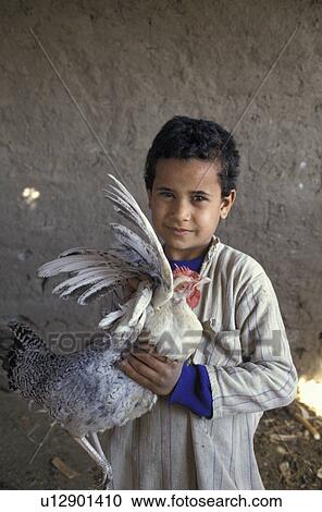 chicken, person, boy, egypt, 3914, people View Large Photo Image Stock Image - chicken, person, boy, egypt, 3914, people. Fotosearch