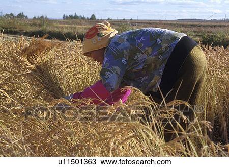 Stock Image - china, people, 3594, person, summer, woman. Fotosearch