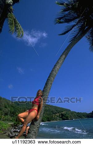 Stock Image - christie, young, female, woman, blonde, beautiful. Fotosearch