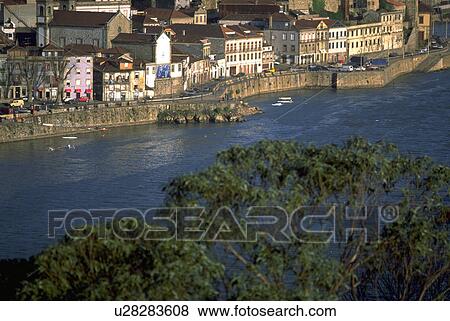 coastline, tree, view, aerial, beauty, water View Large Photo Image Stock Photo - coastline, tree, view, aerial, beauty, water. Fotosearch