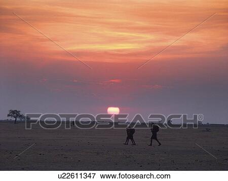 Stock Photo - country, person, miyuguyu, sunset, tanzania, people. Fotosearch