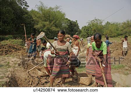 Picture - creek, person, expanding, farmers, bangladesh, people. Fotosearch
