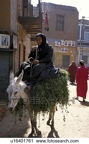Stock Image - egypt, people, 5713, person, fitness, woman. Fotosearch