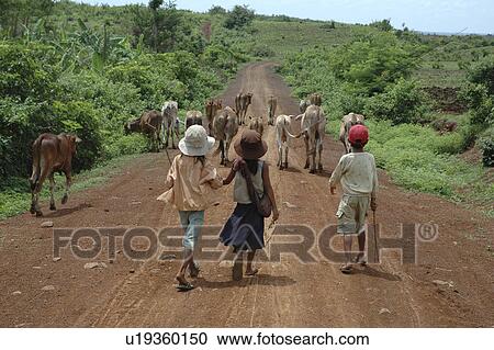 Stock Image - familys, person, herding, girls, cambodia, people. Fotosearch