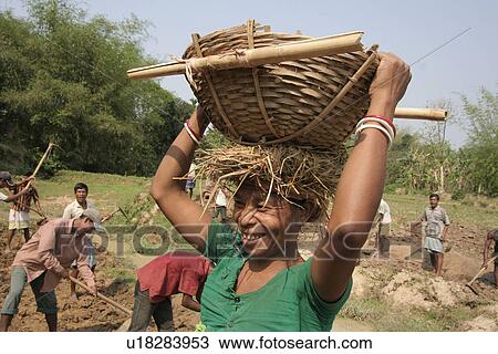 farmers, people, bangladesh, women, person, woman View Large Photo Image Stock Image - farmers, people, bangladesh, women, person, woman. Fotosearch