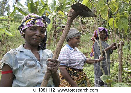 farmers, person, females, tanzania, women, people View Large Photo Image Stock Image - farmers, person, females, tanzania, women, people. Fotosearch