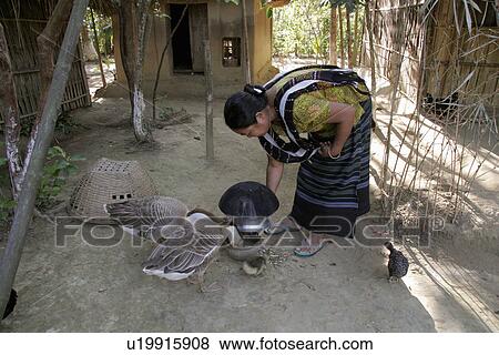 female, people, bangladesh, women, person, woman View Large Photo Image Stock Photo - female, people, bangladesh, women, person, woman. Fotosearch