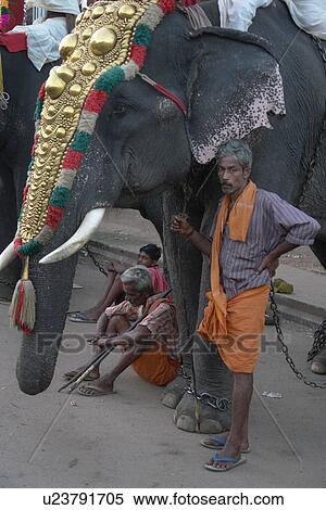 Stock Photography - festival, people, elephant, india, person, party. Fotosearch