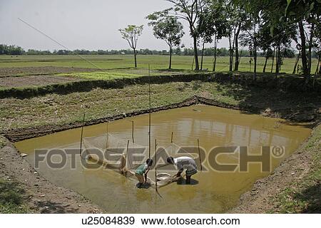 Stock Photo - fish, water, person, people, food, business. Fotosearch