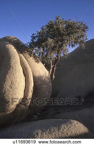formations, people, rock, 4101, person, tree View Large Photo Image Stock Photo - formations, people, rock, 4101, person, tree. Fotosearch