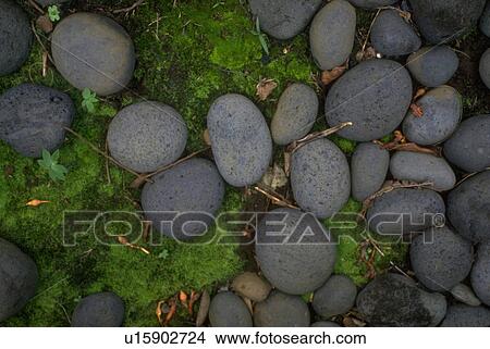 Picture - grey, textures, design, graphic, patterns, background. Fotosearch