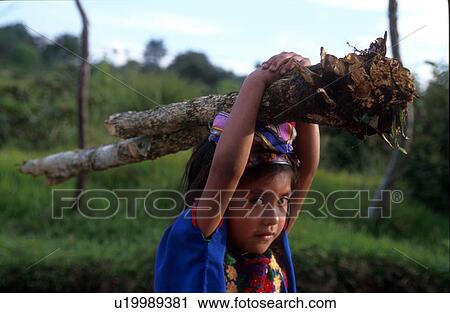 guatemala, girl, 5105, children, person, people View Large Photo Image Stock Image - guatemala, girl, 5105, children, person, people. Fotosearch