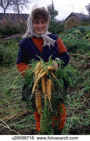 Stock Photograph - harvesting, people, farming, 3357, person, woman. Fotosearch