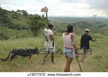 hoes, person, carrying, farmers, brazil, people View Large Photo Image Stock Image - hoes, person, carrying, farmers, brazil, people. Fotosearch