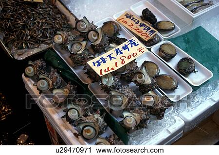 japan, food, tokyo, market, shellfish, 3790 View Large Photo Image Stock Image - japan, food, tokyo, market, shellfish, 3790. Fotosearch