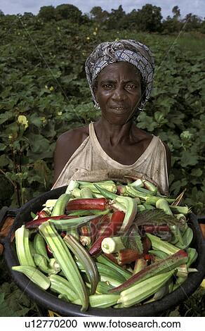 kabekel, people, gambia, 7451, person, woman View Large Photo Image Stock Image - kabekel, people, gambia, 7451, person, woman. Fotosearch