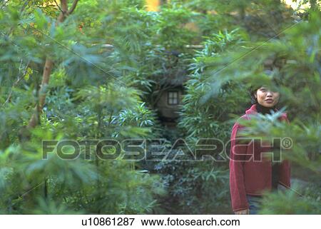Stock Photo - kanda, female, restaurant, garden, bamboo, woman. Fotosearch