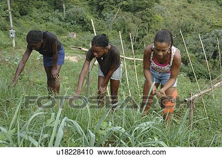 kids, person, girls, brazil, children, people View Large Photo Image Stock Image - kids, person, girls, brazil, children, people. Fotosearch